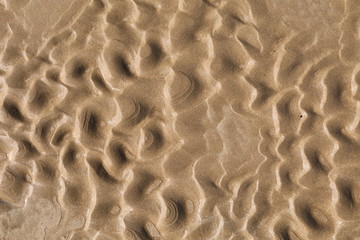 Close up Nature Beach Sand wet Texture In Summer . selective focus. sand background, wallpaper