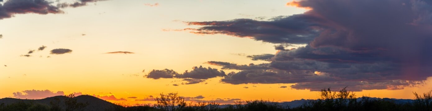 Panoramic image of the Sonoran Desert of Arizona during sunset with distant rain and blue skies.