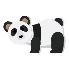 Isolated cute panda bear