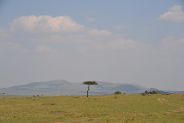 Masai Mara