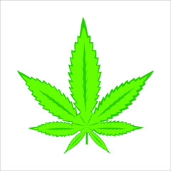 cannabis leaf vector illustration