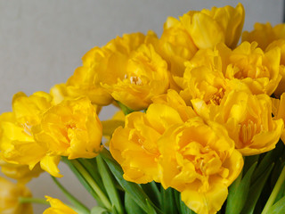 Flower vase with yellow tulips. The concept of the holiday birthday, March 8, mother's day, date, Valentine's Day