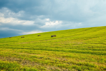 hay bales lay in a freshly mowed field.