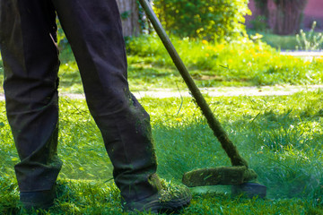 lawn care maintenance. professional grass cutting in the yard