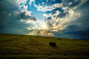 hay bales lay in a freshly mowed field.