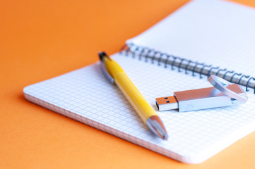 memorization of knowledge: books and organizer are on the table, a storage device and a ball pen placed on notebook, a new technology to record and store data
