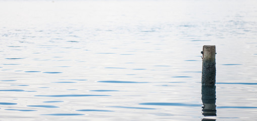 Le calme de l'eau