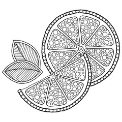 Coloring book page  with outlines of orange.