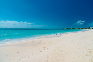 Fototapeta na wymiar Caribbean island of Anguilla with palm trees and white beaches