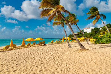 Obraz premium Caribbean island of Anguilla with palm trees and white beaches