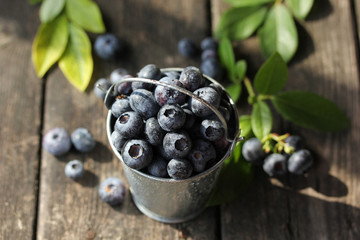 Harvest, gardening. Blueberries in a bucket with leaves on an old wooden background. Summer. Berries in the country. Rustic. Background image, copy space