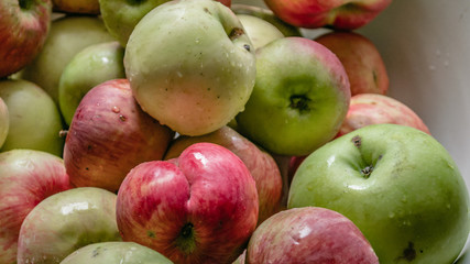home grown green and red fresh apples