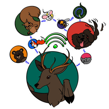 Animals in bubbles symbolizing connecting online.