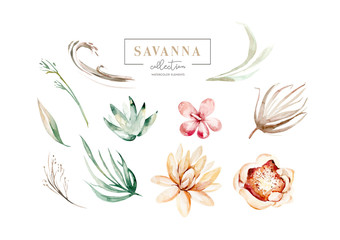 Set watercolor elements of savanna gold flowers collection garden red, burgundy flower, leaves, branches, Botanic illustration isolated on white background