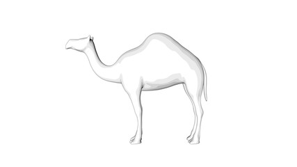 camel sketch illustration