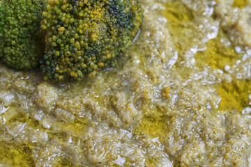 Broccoli Soup