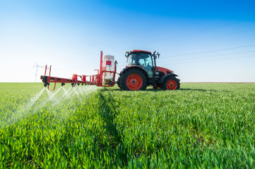 Tractor spraying wheat in field - obrazy, fototapety, plakaty