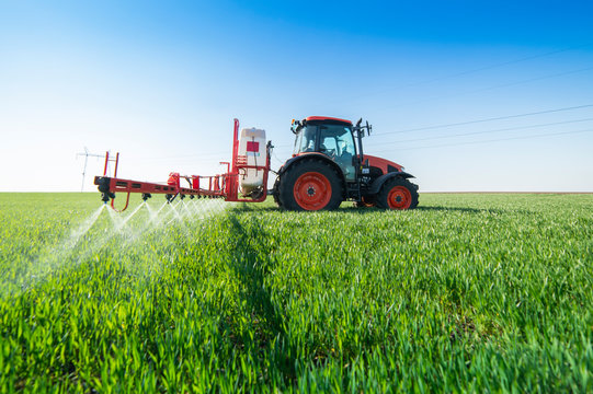 Tractor spraying wheat in field