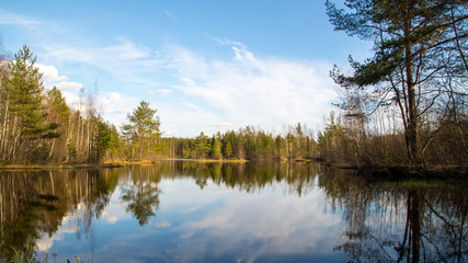 Lake in the forest at sunset. Landscape.