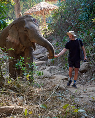 Caucasian young man feeding happy elephant in elephant sanctuary in Chiang Mai Thailand.