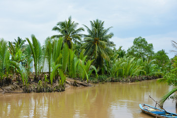Mekong River Delta. Lush vegetation with bamboo and palm trees on the banks