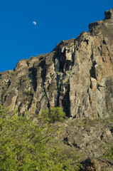 Moon over a cliff and almond Prunus dulcis in the foreground. The Roque Nublo Natural Monument. Tejeda. Gran Canaria. Canary Islands. Spain.