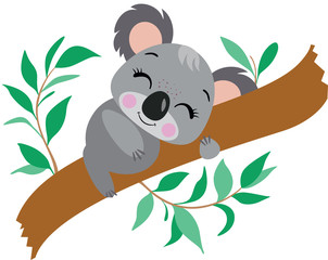 Little koala sleeping on eucalyptus branch