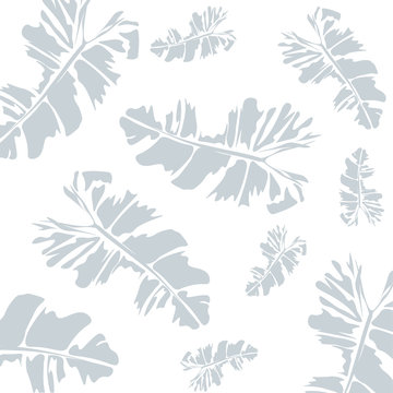 tropical blue pastel leafes on white background