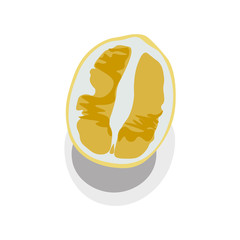 half a yellow lemon vector icon illustration isolated on white background