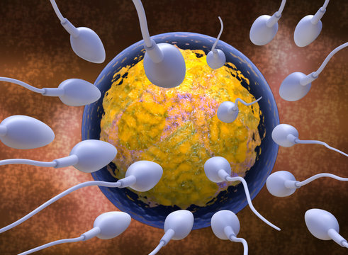 Sperm and egg. 3d illustration of large number of sperm, storm of sperm reproductive cell.