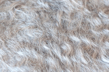 defocused photo with a small depth of field of sheep wool texture. texture of Russian down shawl close up