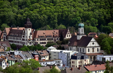 Blick auf Freiburg-Wiehre im Grünen