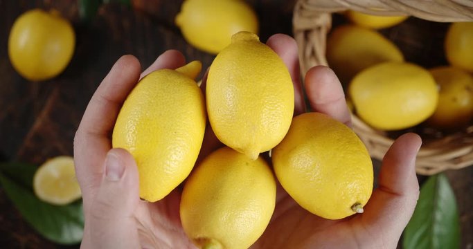 Men's hands holding fresh lemons.