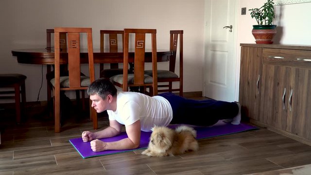 Fat man and pomeranian dog doing gymnastics for losing weight at home on mat on floor. Doing fitness with your dog. Overweight guy and funny dog doing yoga exercises at home. Makes fitness plank.