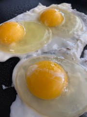 fried egg in a frying pan