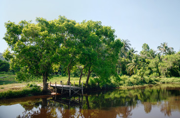 Fototapeta na wymiar Lake, bridge, trees, summer. Calm mood of a hot day in the countryside.