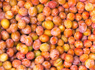 Fresh yellow plums. Food. Top view natural texture. Macro photo. Image fruit product. Close-up. Ripe fruits harvested in fall. Background from organic plums, own garden or market