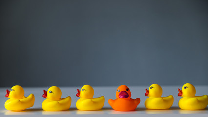 rubber ducks on a gray background, 1 duck is not like everyone else, unique - Powered by Adobe