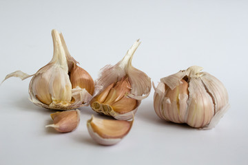 garlic on the white background