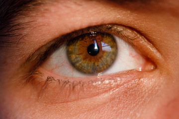 Naklejka premium the eye of a tired man close-up