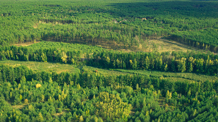 Fototapeta na wymiar Aerial view from drone of landscape with green forest in a sunny summer day. Beautiful countryside panorama in the summertime.