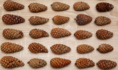 Top vieve pine cones background