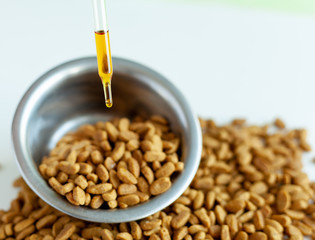 CBD and medical marijuana for pets, Food delicacy for dogs and cats, marijuana CBD oil