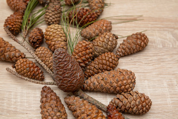 Top vieve pine cones background