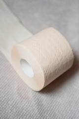 Fototapeta na wymiar A roll of toilet paper on a towel