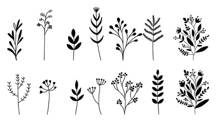Flower leaf branch, vector illustration