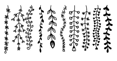 Flower leaf branch, vector illustration