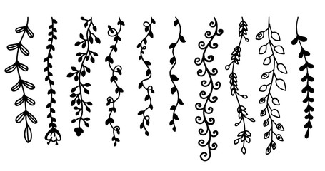 Flower leaf branch, vector illustration