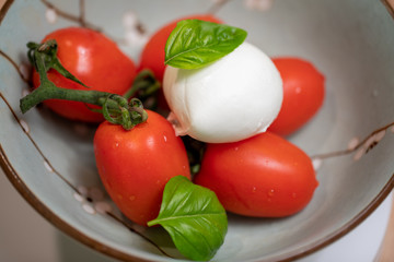 delicious caprese salad ripe tomatoes buffalo mozzarella and basil close-up, traditional italian cuisine