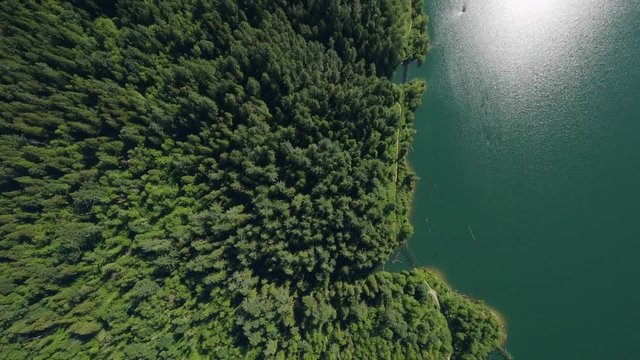 Stave River Fraser Valley Vertical Video BC Canada
